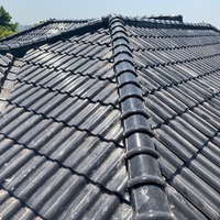 Surface émaillée Clay_roof_tile Tuile à emboîtement Gris