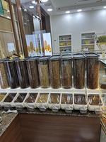 ECOBOX Distributeur de céréales, récipient, pelle, bac de stockage alimentaire, haricots, graines, céréales, bacs à gravité, grains de café, bacs en plastique en vrac pour aliments