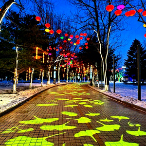 Système de projection de motifs longue portée pour les grands bâtiments, les espaces publics et les événements nocturnes - Product Image 1