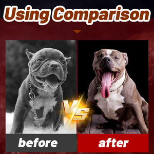 Made in China Pet Supplement Soft Chews High Protein <strong>for</strong> Dogs Weight Gain Muscle Builder Dog Supplement - Product Image 5