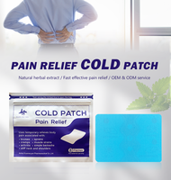 Patch antidouleur froid, livraison gratuite, plâtre médical chinois au camphre et menthol pour soulager les douleurs corporelles, efficace pour les douleurs aux épaules, aux muscles et au cou