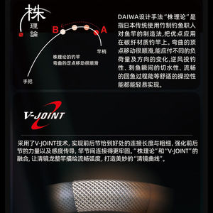 Canne à pêche Daiwa Clear Mirror Dragon Taiwan 6m en fibre de carbone, action moyenne rapide, guides SIC, pêche à la carpe - Product Image 3
