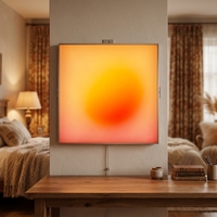Boîte à lumière LED décorative LUZ, art mural avec variateur d'intensité réglable, cadre en aluminium écologique, acrylique rétroéclairé pour usage domestique et commercial
