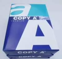 500 feuilles de papier de copie A4 pour bureau, 70 g/m², taille personnalisable, papier d'impression blanc standard pour bureau, fourniture d'usine