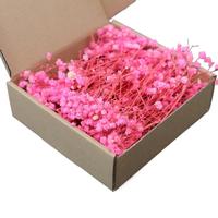 Matériaux DIY pour fleurs fraîches, gypsophile, artisanat fait main pour Noël et mariage, cadeaux et décorations DIY