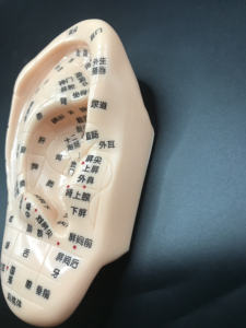 Enseñanza médica acupuntura oreja modelo imagen PVC Material inteligente estimulante manipulación enseñanza acupuntura herramienta - Product Image 4