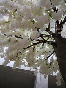 China Factory Wholesale Custom White Indoor Cherry Blossom <strong>Trees</strong> Fiberglass <strong>Trunk</strong> Artificial Silk Quality Indoor Plants <strong>for</strong> <strong>Sale</strong> - Product Image 3