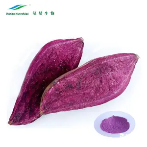 Factory Supply Natural Pigment Purple Sweet Potato Extract Powder Anthocyanidins 5%10%