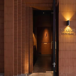 Clay Brick revêtement <span class=keywords><strong>en</strong></span> terre cuite presse extérieure intérieure couleur rouge placage chinois de bonne qualité - Product Image 2