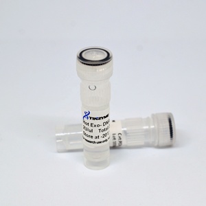 Tinzyme Hot Exo-DNA Polimerasa, Enzima Natural Mediante Ingeniería Genética, 1KU/vial, 99% de Pureza - Product Image 5