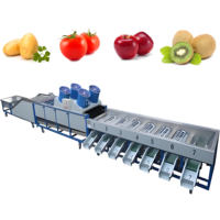 VBJX trieur de pommes de terre ail cerise prune dattes noix de cajou ananas trieur machine de classement pour légumes fruits