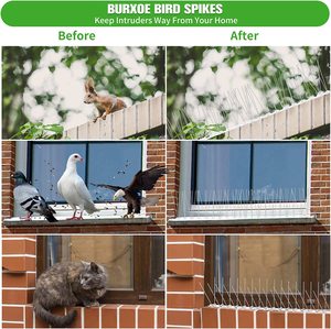 Güvercin, Kedi, Rakun ve Ağaçkakanlar İçin Paslanmaz Çelik Kuş Dikenleri Dış Mekan Zararlı Hayvan Kontrolü-Eko Dostu - Product Image 3