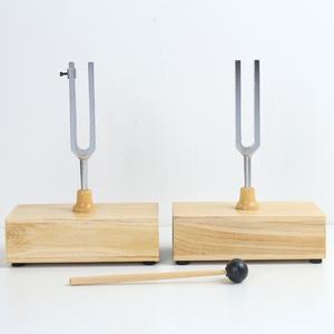 Herramientas para Limpiar los Oídos a Precio de Fábrica, Juego de Diapasones de Resonancia de 440 Hz, Instrumento para la Enseñanza Acústica - Product Image 3