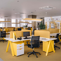 Bureau de travail sur mesure, assemblage facile, construction robuste, pour bureau moderne, mobilier de bureau contemporain.