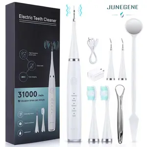 Tooth Cleaner with dental Accessories 3 toothbrush heads 1 oral mirror 1 price discount