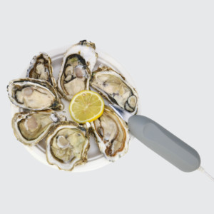 <span class=keywords><strong>Couteau</strong></span> <span class=keywords><strong>électrique</strong></span> <span class=keywords><strong>à</strong></span> huîtres en acier inoxydable de qualité supérieure, écologique, style 2024, pour la restauration - Product Image 1