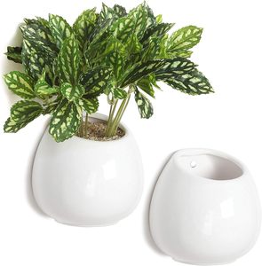 Décoration magnétique assortie pour réfrigérateur Décoration magnétique assortie avec <span class=keywords><strong>mini</strong></span> fausses plantes succulentes dans des pots en céramique blanche Pots magnétiques pour plantes - Product Image 1