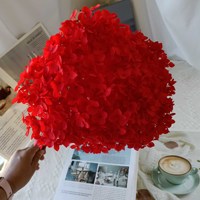 Fleurs d'hortensia séchées décoratives et magnifiques pour la décoration d'événements, les mariages et les arrangements floraux