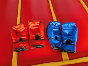 Anneau <span class=keywords><strong>de</strong></span> <span class=keywords><strong>boxe</strong></span> gonflable portable arrière-cour gonflable lutte carnaval location arène anneau <span class=keywords><strong>de</strong></span> <span class=keywords><strong>boxe</strong></span> rebond - Product Image 3