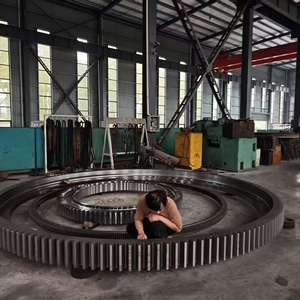 Ruota di fabbricazione Cnc grande ingranaggio ad anello grande ingranaggio planetario - Product Image 2