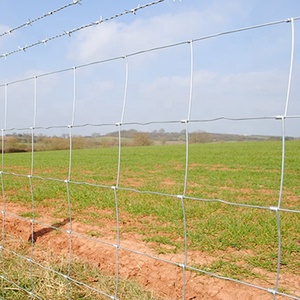 جودة عالية المجلفن سياج الميدان/الماشية سياج/بقرة السياج - Product Image 6