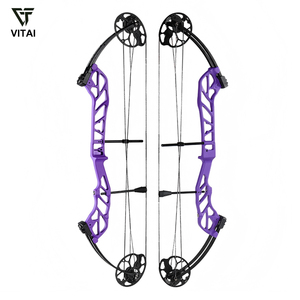 Arc à poulies réglable pour débutants, vente en gros B2B, plusieurs options de couleurs, pour l'entraînement au tir à l'arc et les clubs FH-FJ-002 19-60 LBS - Product Image 6