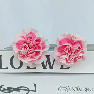Girofle <span class=keywords><strong>Xiao</strong></span> <span class=keywords><strong>Yan</strong></span> de qualité supérieure - Rose et blanc pour bouquets - Product Image 3