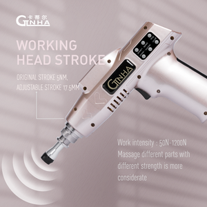 Pistolet de chiropratique électrique professionnel pour le soulagement des douleurs dorsales - Product Image 1