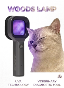 Lámpara veterinaria Woods con lupa para detectar problemas de la piel en perros y gatos, <span class=keywords><strong>productos</strong></span> <span class=keywords><strong>veterinarios</strong></span> para el cuidado de mascotas. - Product Image 3