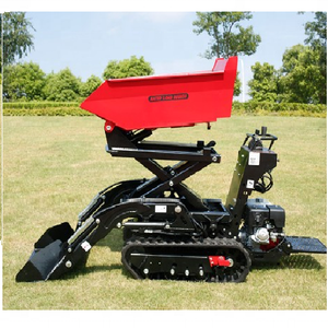 Venta caliente <span class=keywords><strong>Power</strong></span> Crawler <span class=keywords><strong>Barrow</strong></span> <span class=keywords><strong>KD800</strong></span> mini cargador - Product Image 2