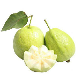 Polvo de Guayaba Puro, Polvo de Fruta Natural, Materia Prima Especial para Bebidas y Repostería - Product Image 3