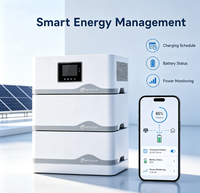 Système de stockage d'énergie pour balcon 2,5 kWh 5 kWh 7,5 kWh, système de batterie solaire pour balcon avec micro-onduleur, système solaire pour balcon tout-en-un