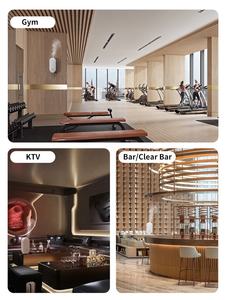 Diffuseur <span class=keywords><strong>d</strong></span>'huiles essentielles électrique portable mini diffuseur mural sans eau pour la <span class=keywords><strong>maison</strong></span> et l'hôtel, parfum <span class=keywords><strong>d</strong></span>'ambiance, 200 ml - Product Image 5