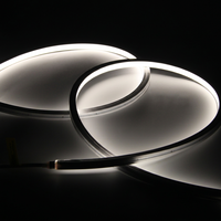 Tira de LED de Silicona de Neón 1010 de Alta Eficiencia, Ahorro de Energía, Brillo Uniforme sin Puntos para Fachadas de Edificios y Decoración Comercial