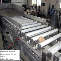 Neweek Papaya Grading Ui Verwerking Lijn Kleine Fruit Aardappel Tomaat Size Sorteren Machine