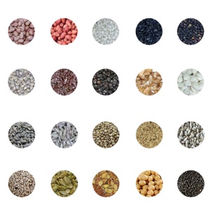 Presse à huile automatique pour noix, graines et arachides, neuve, pour graines de ricin, de sésame, d'amandes et de colza - Product Image 6