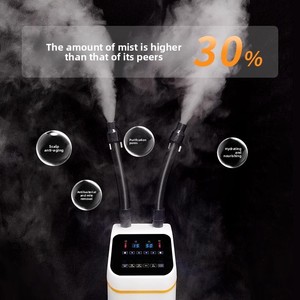 Micro Spray Instrumento para el cuidado del cabello Peluquería Oxígeno <span class=keywords><strong>Ozono</strong></span> <span class=keywords><strong>Aromaterapia</strong></span> SPA Máquina de curado Crecimiento del cabello Aceite para hornear Motor de <span class=keywords><strong>vapor</strong></span> - Product Image 2