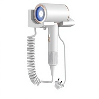 Sèche-cheveux électrique transfrontalier haute vitesse 1800W à moteur DC, flux d'air alterné chaud/froid à lumière bleue, mural pour hôtel