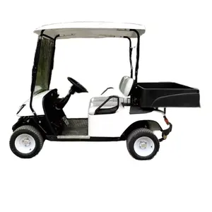 TONGCAI golf push cart cooler2024 meilleurs kits de châssis ebike rose essence 6 places essieu arrière électrique 4 places pakistan housse de siège