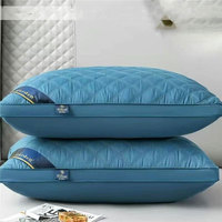 Oreiller Hilton à Bas Prix, Oreiller de Lit à Double Bordure 800g, Remplissage Velours Plume, Oreiller Cervical pour Dormir