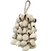 2025 Kindfull Handmade Crystal Fruit Shell Polished Percussion Drum Natural Sound Instruments High Quality Fashion Trend Wedding