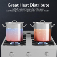 Marmite de cuisson en acier inoxydable 3 couches avec couvercle, compatible induction, pour la maison et la cuisine