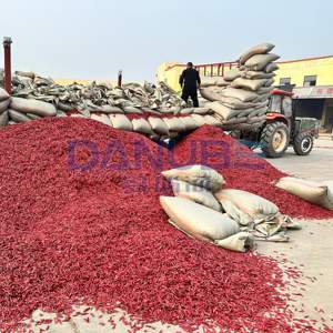 Secador de chiles con cinta transportadora de malla industrial, línea de producción de secado de chiles, máquina deshumidificadora de chiles - Product Image 4