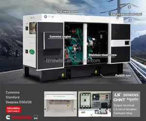 Groupe electrogene 250 kva mit cummins-motor 200 kw schallgedämpfter leiser dieselgenerator für primären gebrauch mit dem stamford-lichtmaschine