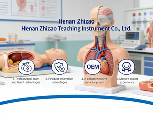 Manichino Multifunzionale per l'Assistenza ai Bambini di 3 Anni, Modello per Insegnamento e Formazione Medica - Product Image 4