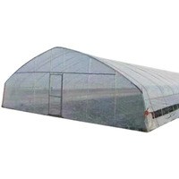Serre tunnel en film plastique à portée unique pour la culture de fraises et de légumes