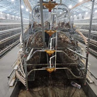 Nouvelle cage à poulets portable automatique de type A en acier galvanisé, résistante à la rouille et à la corrosion, durée de vie de 12 à 18 ans