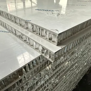 Foshan Acp Paneel Aluminium Composiet Panelen Plaat Pvdf Vliesgevel Spc Aluminium Honingraat Kern Paneeldeur Voor Keukenkast.