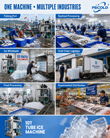 Usine de production de glace en tubes de 10 tonnes pour l'usine de glace en Indonésie |   Machine à glace en tube 10 000 kg/jour pour la vente en gros de glace