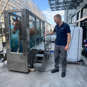 Factory Hydrotherapy Water <b>Treadmill</b> Manufacturer for Horse Rehab Veterinary Equine Underwater Therapy Supplier Equipment - Product Image 1
